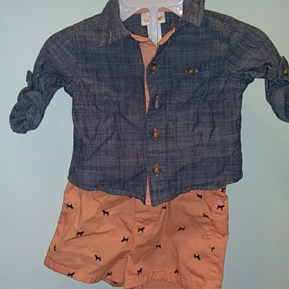 Dressy dog outfit
